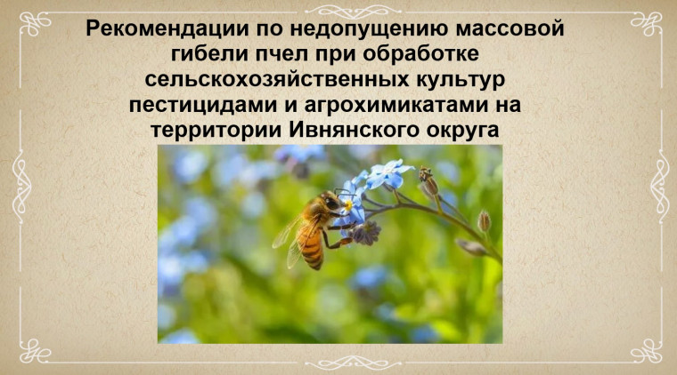Рекомендации по недопущению массовой гибели при обработке сельскохозяйственных культур пестицидами и агрохимикатами. Рекомендации по недопущению массовой гибели при обработке сельскохозяйственных культур пестицидами и агрохимикатами.